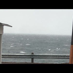 Meet your Posher, Doris